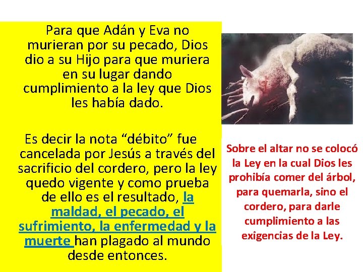  Para que Adán y Eva no murieran por su pecado, Dios dio a