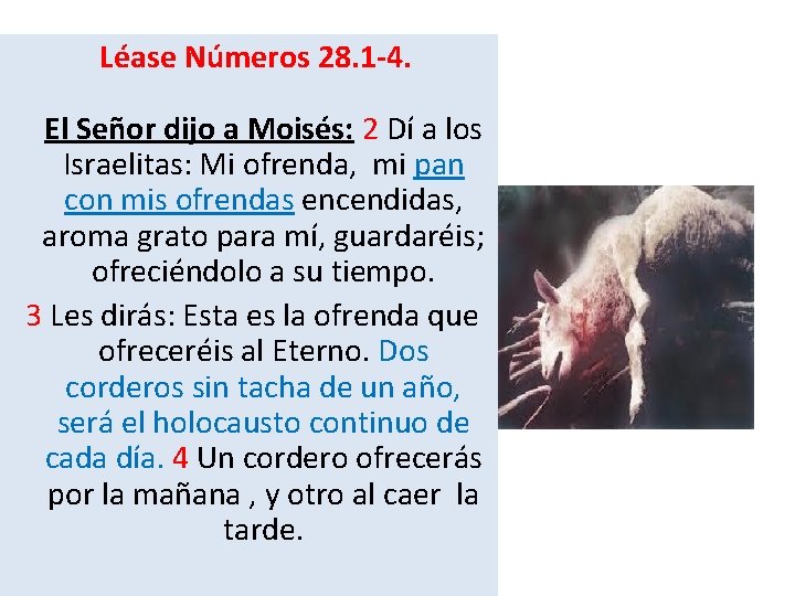  Léase Números 28. 1 -4. El Señor dijo a Moisés: 2 Dí a