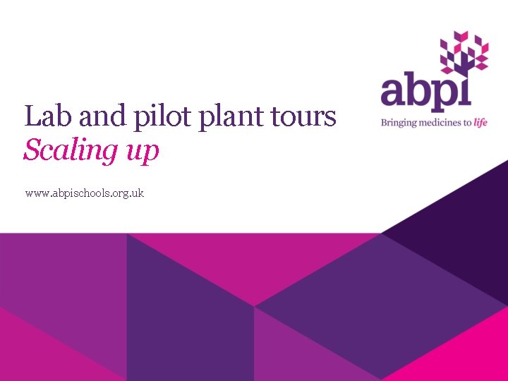 Lab and pilot plant tours Scaling up www. abpischools. org. uk 