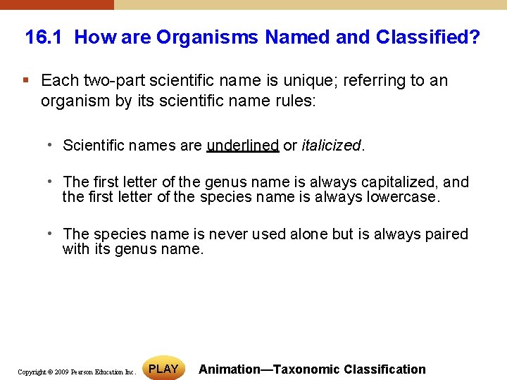16. 1 How are Organisms Named and Classified? § Each two-part scientific name is 16. 1 How are Organisms Named and Classified? § Each two-part scientific name is