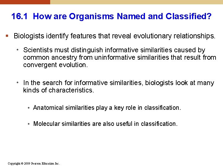 16. 1 How are Organisms Named and Classified? § Biologists identify features that reveal 16. 1 How are Organisms Named and Classified? § Biologists identify features that reveal