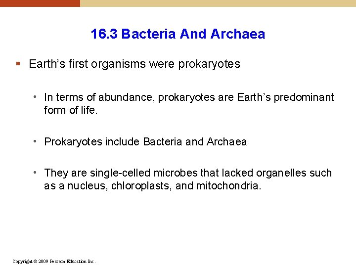 16. 3 Bacteria And Archaea § Earth’s first organisms were prokaryotes • In terms 16. 3 Bacteria And Archaea § Earth’s first organisms were prokaryotes • In terms