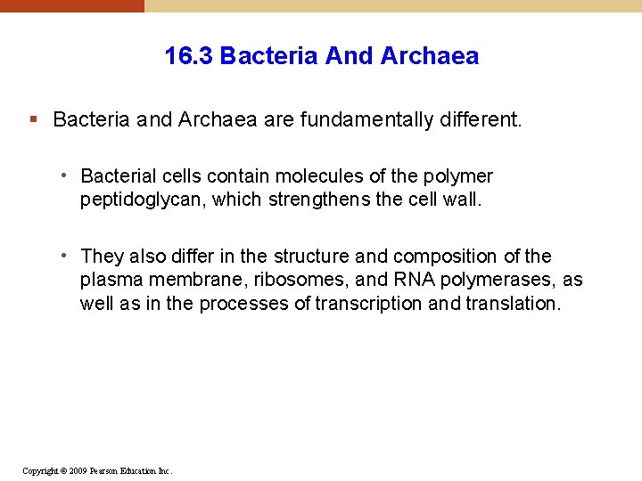 16. 3 Bacteria And Archaea § Bacteria and Archaea are fundamentally different. • Bacterial 16. 3 Bacteria And Archaea § Bacteria and Archaea are fundamentally different. • Bacterial