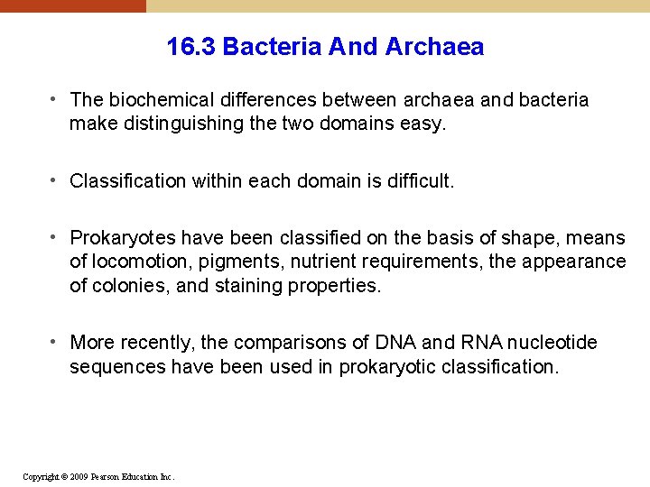 16. 3 Bacteria And Archaea • The biochemical differences between archaea and bacteria make 16. 3 Bacteria And Archaea • The biochemical differences between archaea and bacteria make