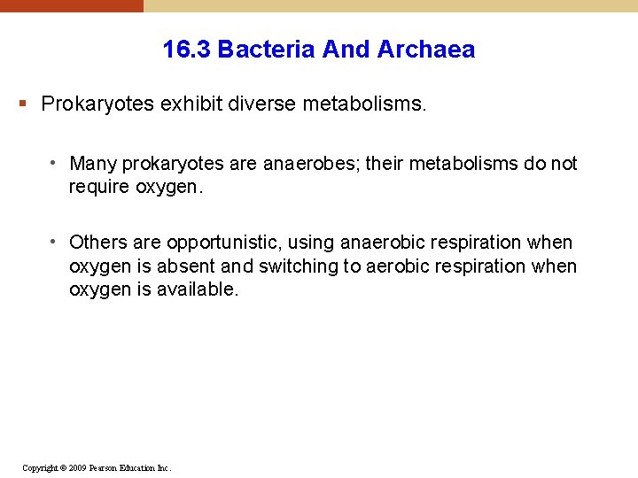 16. 3 Bacteria And Archaea § Prokaryotes exhibit diverse metabolisms. • Many prokaryotes are 16. 3 Bacteria And Archaea § Prokaryotes exhibit diverse metabolisms. • Many prokaryotes are