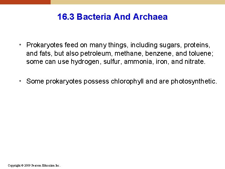 16. 3 Bacteria And Archaea • Prokaryotes feed on many things, including sugars, proteins, 16. 3 Bacteria And Archaea • Prokaryotes feed on many things, including sugars, proteins,