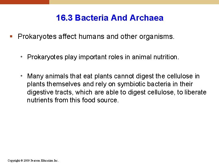 16. 3 Bacteria And Archaea § Prokaryotes affect humans and other organisms. • Prokaryotes 16. 3 Bacteria And Archaea § Prokaryotes affect humans and other organisms. • Prokaryotes