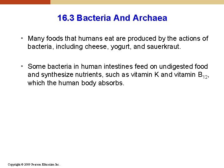 16. 3 Bacteria And Archaea • Many foods that humans eat are produced by 16. 3 Bacteria And Archaea • Many foods that humans eat are produced by