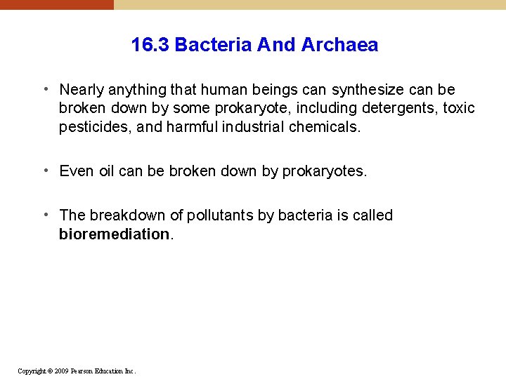 16. 3 Bacteria And Archaea • Nearly anything that human beings can synthesize can 16. 3 Bacteria And Archaea • Nearly anything that human beings can synthesize can