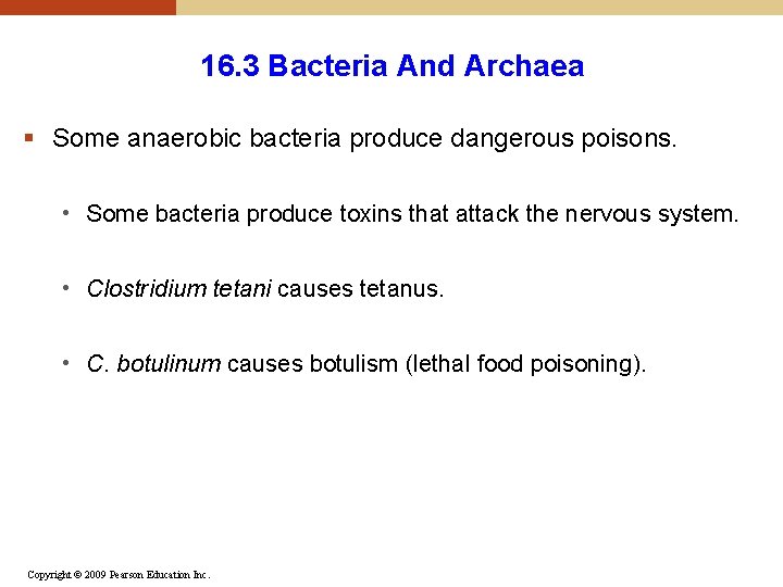 16. 3 Bacteria And Archaea § Some anaerobic bacteria produce dangerous poisons. • Some 16. 3 Bacteria And Archaea § Some anaerobic bacteria produce dangerous poisons. • Some
