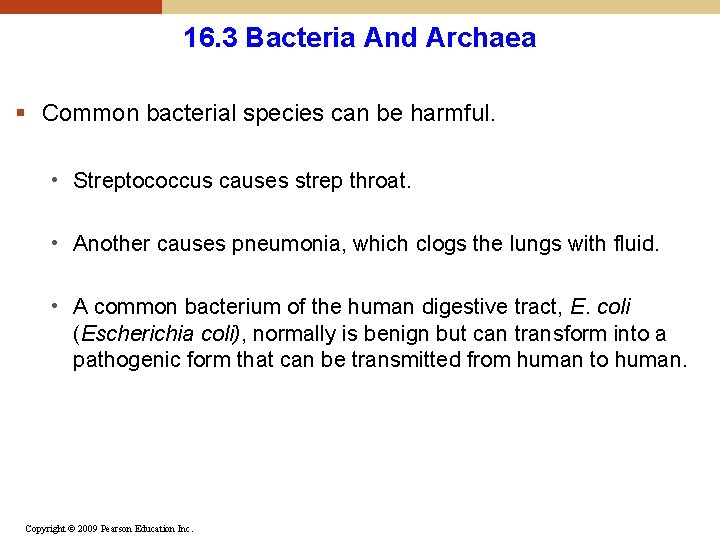 16. 3 Bacteria And Archaea § Common bacterial species can be harmful. • Streptococcus 16. 3 Bacteria And Archaea § Common bacterial species can be harmful. • Streptococcus