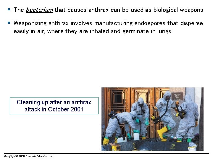 § The bacterium that causes anthrax can be used as biological weapons § Weaponizing § The bacterium that causes anthrax can be used as biological weapons § Weaponizing