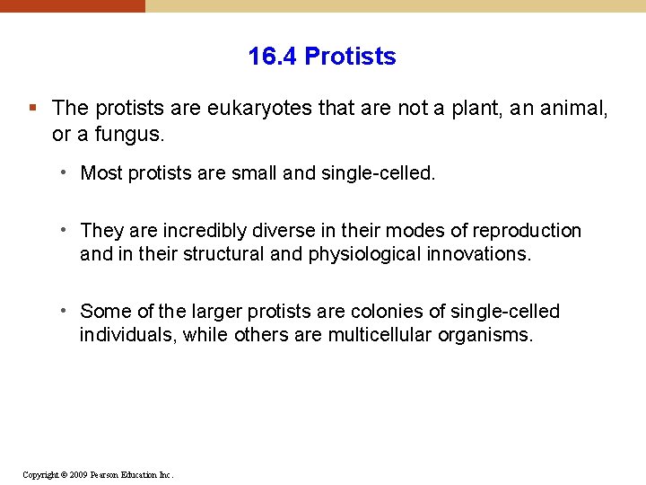 16. 4 Protists § The protists are eukaryotes that are not a plant, an 16. 4 Protists § The protists are eukaryotes that are not a plant, an