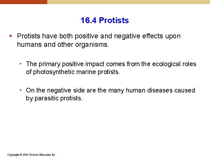 16. 4 Protists § Protists have both positive and negative effects upon humans and 16. 4 Protists § Protists have both positive and negative effects upon humans and