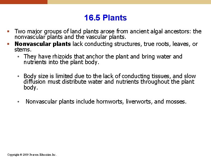 16. 5 Plants § Two major groups of land plants arose from ancient algal 16. 5 Plants § Two major groups of land plants arose from ancient algal