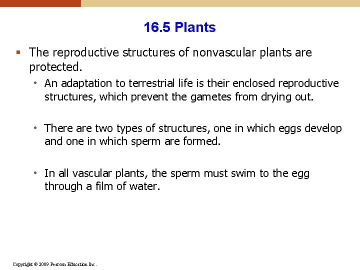 16. 5 Plants § The reproductive structures of nonvascular plants are protected. • An 16. 5 Plants § The reproductive structures of nonvascular plants are protected. • An