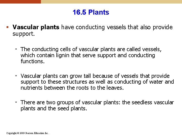 16. 5 Plants § Vascular plants have conducting vessels that also provide support. • 16. 5 Plants § Vascular plants have conducting vessels that also provide support. •