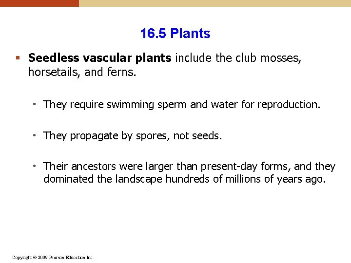 16. 5 Plants § Seedless vascular plants include the club mosses, horsetails, and ferns. 16. 5 Plants § Seedless vascular plants include the club mosses, horsetails, and ferns.