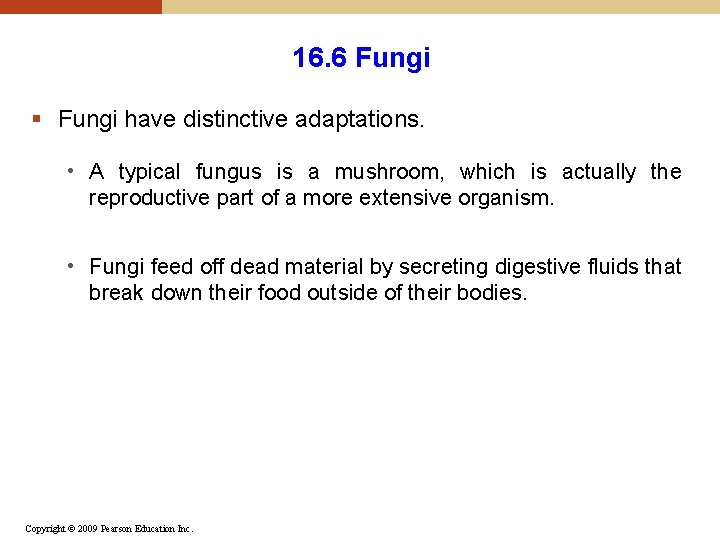16. 6 Fungi § Fungi have distinctive adaptations. • A typical fungus is a 16. 6 Fungi § Fungi have distinctive adaptations. • A typical fungus is a
