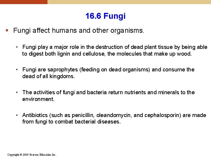 16. 6 Fungi § Fungi affect humans and other organisms. • Fungi play a 16. 6 Fungi § Fungi affect humans and other organisms. • Fungi play a