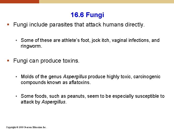 16. 6 Fungi § Fungi include parasites that attack humans directly. • Some of 16. 6 Fungi § Fungi include parasites that attack humans directly. • Some of