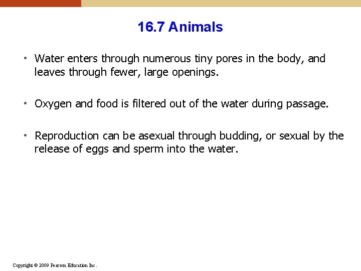 16. 7 Animals • Water enters through numerous tiny pores in the body, and 16. 7 Animals • Water enters through numerous tiny pores in the body, and