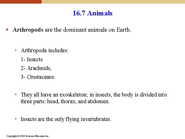 16. 7 Animals § Arthropods are the dominant animals on Earth. • Arthropoda includes: 16. 7 Animals § Arthropods are the dominant animals on Earth. • Arthropoda includes: