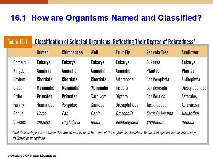 16. 1 How are Organisms Named and Classified? Copyright © 2009 Pearson Education Inc. 16. 1 How are Organisms Named and Classified? Copyright © 2009 Pearson Education Inc.