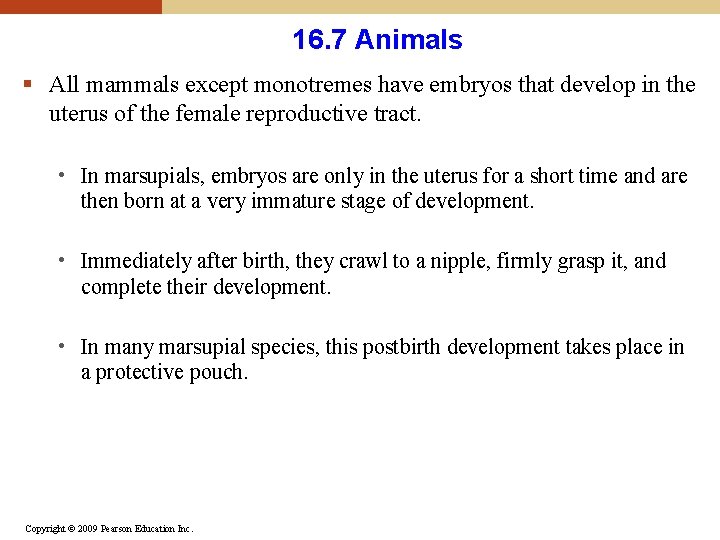 16. 7 Animals § All mammals except monotremes have embryos that develop in the 16. 7 Animals § All mammals except monotremes have embryos that develop in the