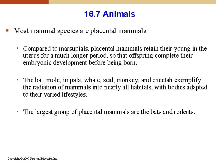 16. 7 Animals § Most mammal species are placental mammals. • Compared to marsupials, 16. 7 Animals § Most mammal species are placental mammals. • Compared to marsupials,