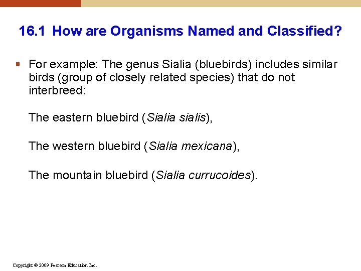 16. 1 How are Organisms Named and Classified? § For example: The genus Sialia 16. 1 How are Organisms Named and Classified? § For example: The genus Sialia