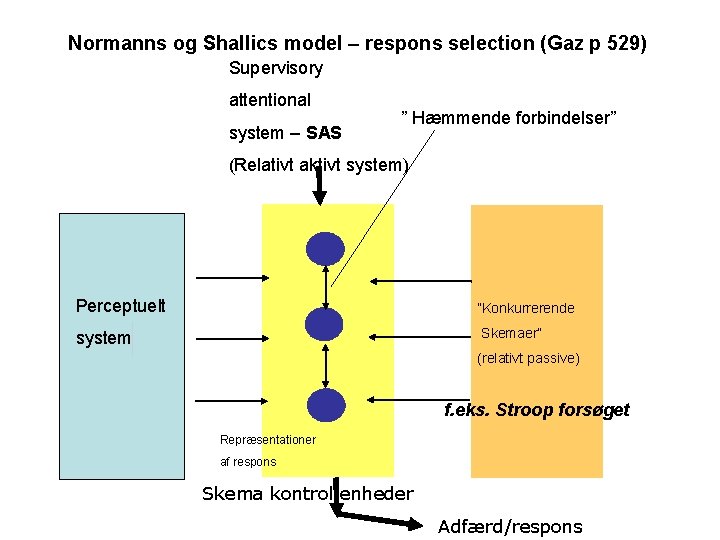 Normanns og Shallics model – respons selection (Gaz p 529) Supervisory attentional system –
