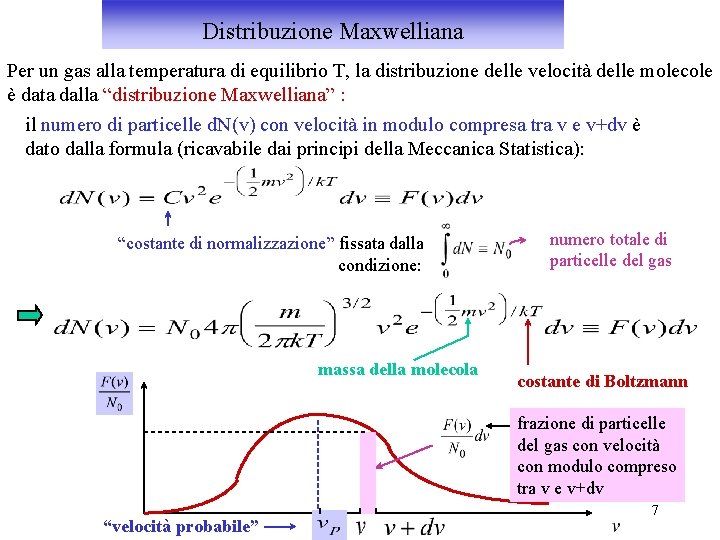 Distribuzione Maxwelliana Per un gas alla temperatura di equilibrio T, la distribuzione delle velocità