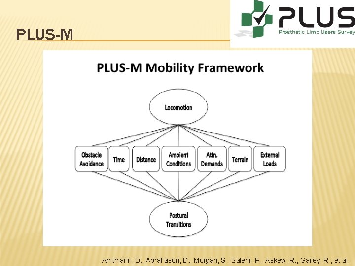 PLUS-M Amtmann, D. , Abrahason, D. , Morgan, S. , Salem, R. , Askew,