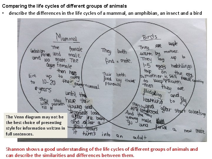 Comparing the life cycles of different groups of animals • describe the differences in