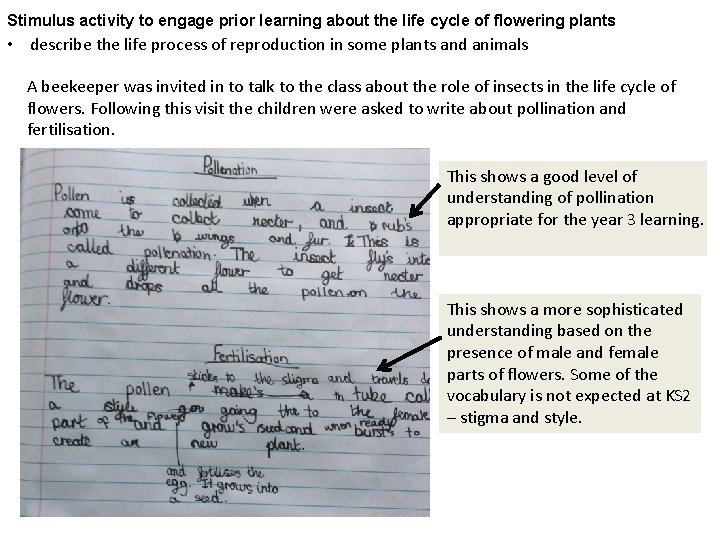Stimulus activity to engage prior learning about the life cycle of flowering plants •