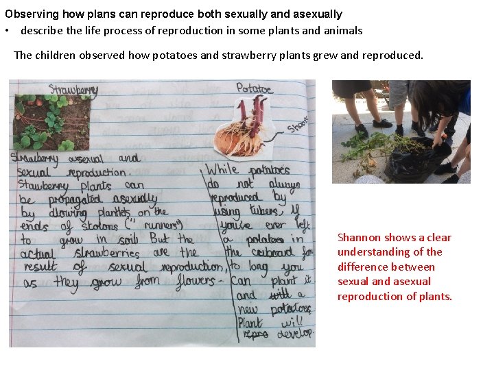 Observing how plans can reproduce both sexually and asexually • describe the life process