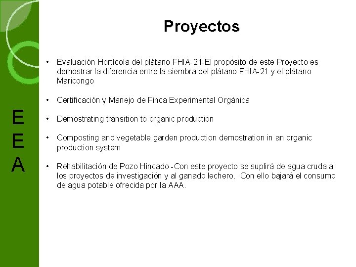 Proyectos E E A • Evaluación Hortícola del plátano FHIA 21 El propósito de