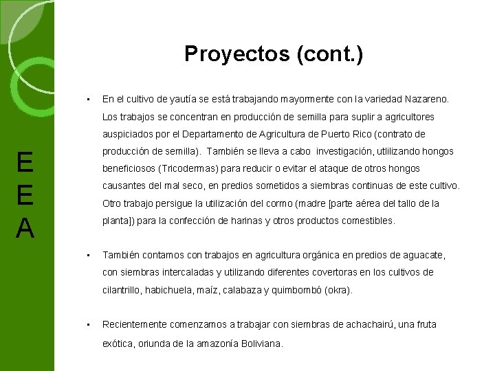 Proyectos (cont. ) • En el cultivo de yautía se está trabajando mayormente con