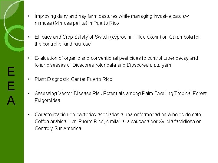 E E A • Improving dairy and hay farm pastures while managing invasive catclaw