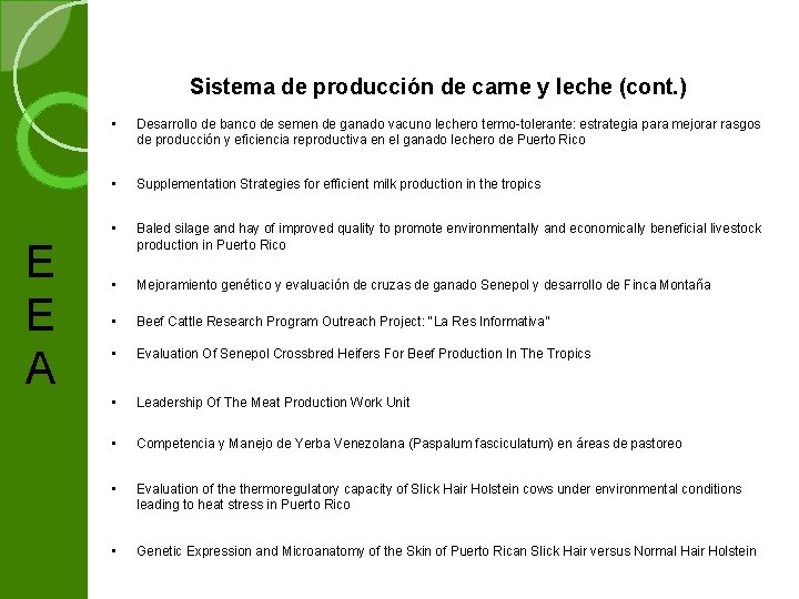 Sistema de producción de carne y leche (cont. ) E E A • Desarrollo