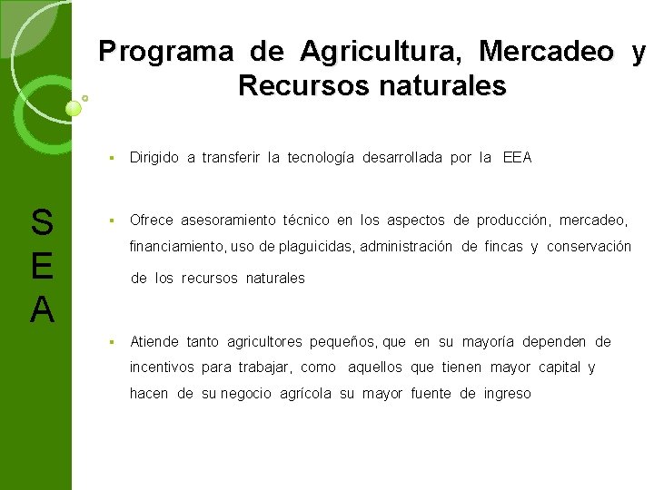 Programa de Agricultura, Mercadeo y Recursos naturales S E A § Dirigido a transferir