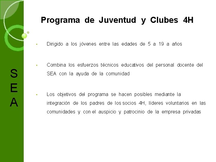 Programa de Juventud y Clubes 4 H S E A • Dirigido a los