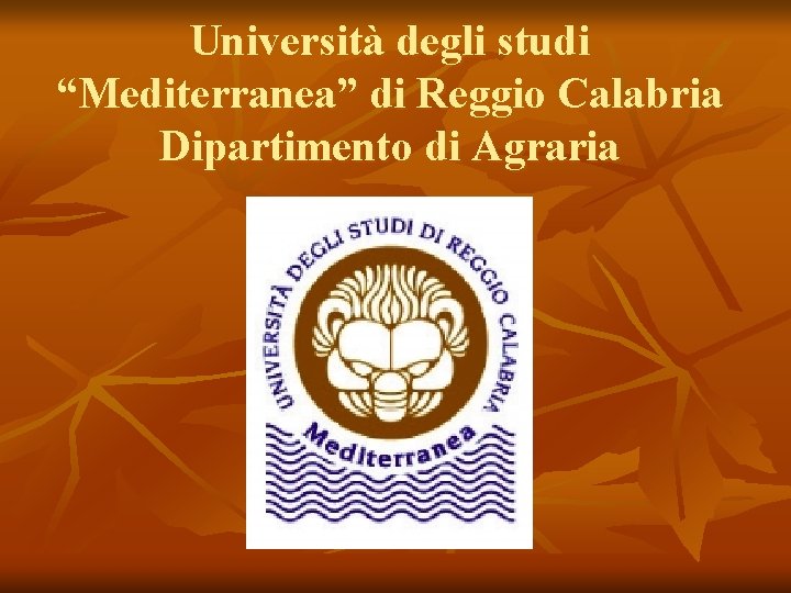 Università degli studi “Mediterranea” di Reggio Calabria Dipartimento di Agraria 