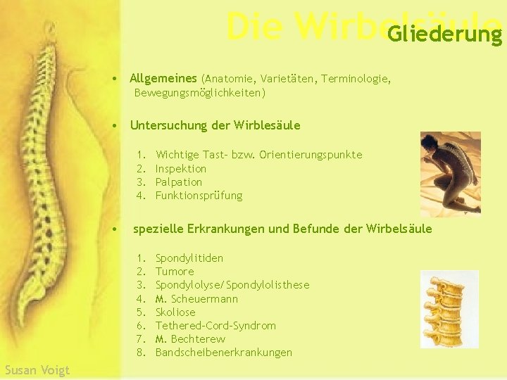 Die Wirbelsäule Gliederung • Allgemeines (Anatomie, Varietäten, Terminologie, Bewegungsmöglichkeiten) • Untersuchung der Wirblesäule 1.