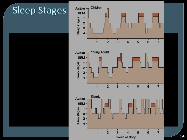 Sleep Stages Sleep for Health 13 -Jun-08 14 Sleep Stages Sleep for Health 13 -Jun-08 14