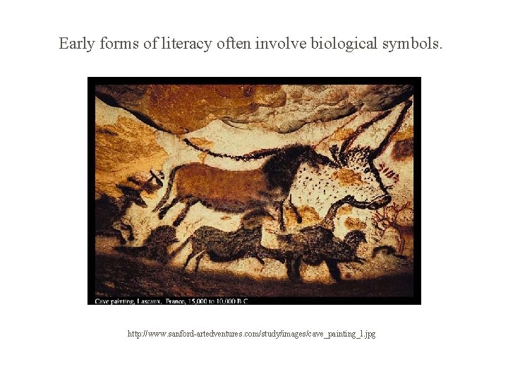 Early forms of literacy often involve biological symbols. http: //www. sanford-artedventures. com/study/images/cave_painting_l. jpg 