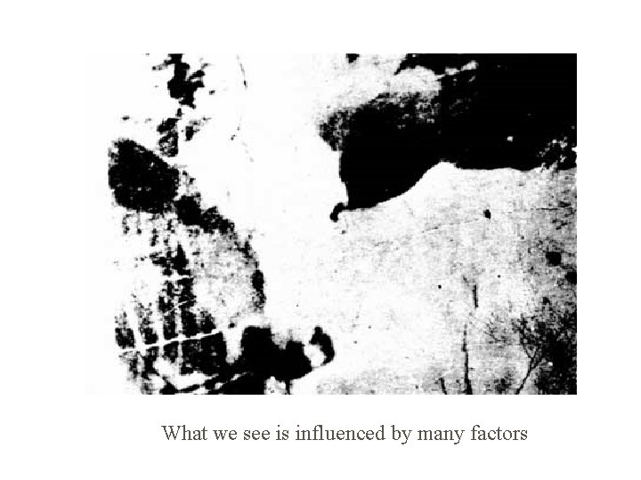 What we see is influenced by many factors 