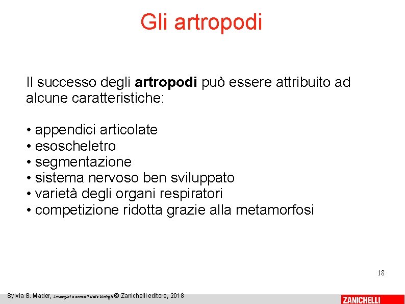 Gli artropodi Il successo degli artropodi può essere attribuito ad alcune caratteristiche: • appendici