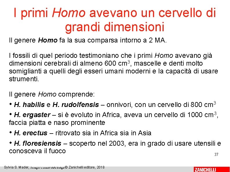 I primi Homo avevano un cervello di grandi dimensioni Il genere Homo fa la